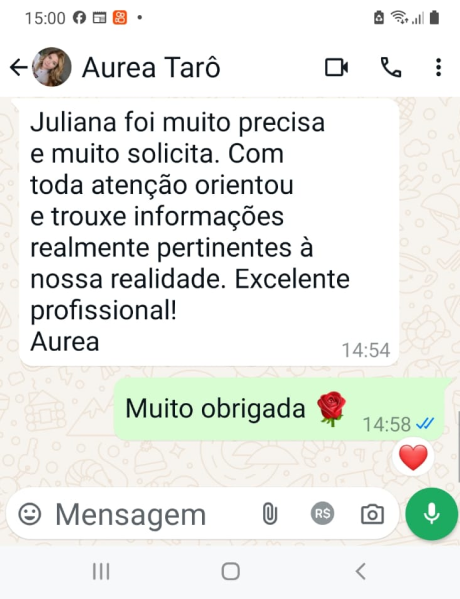 sem titulo 12 1