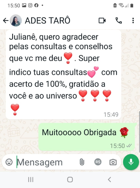 sem titulo 15 1